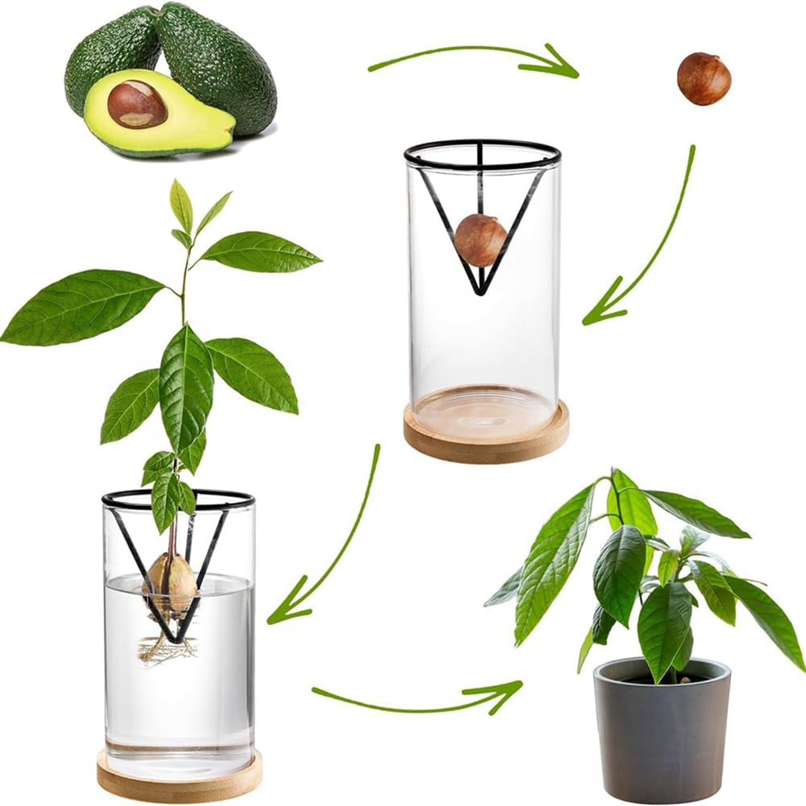 1Set Kit penumbuh pohon alpuka - Crystal Growing Kit ulasan dan harga