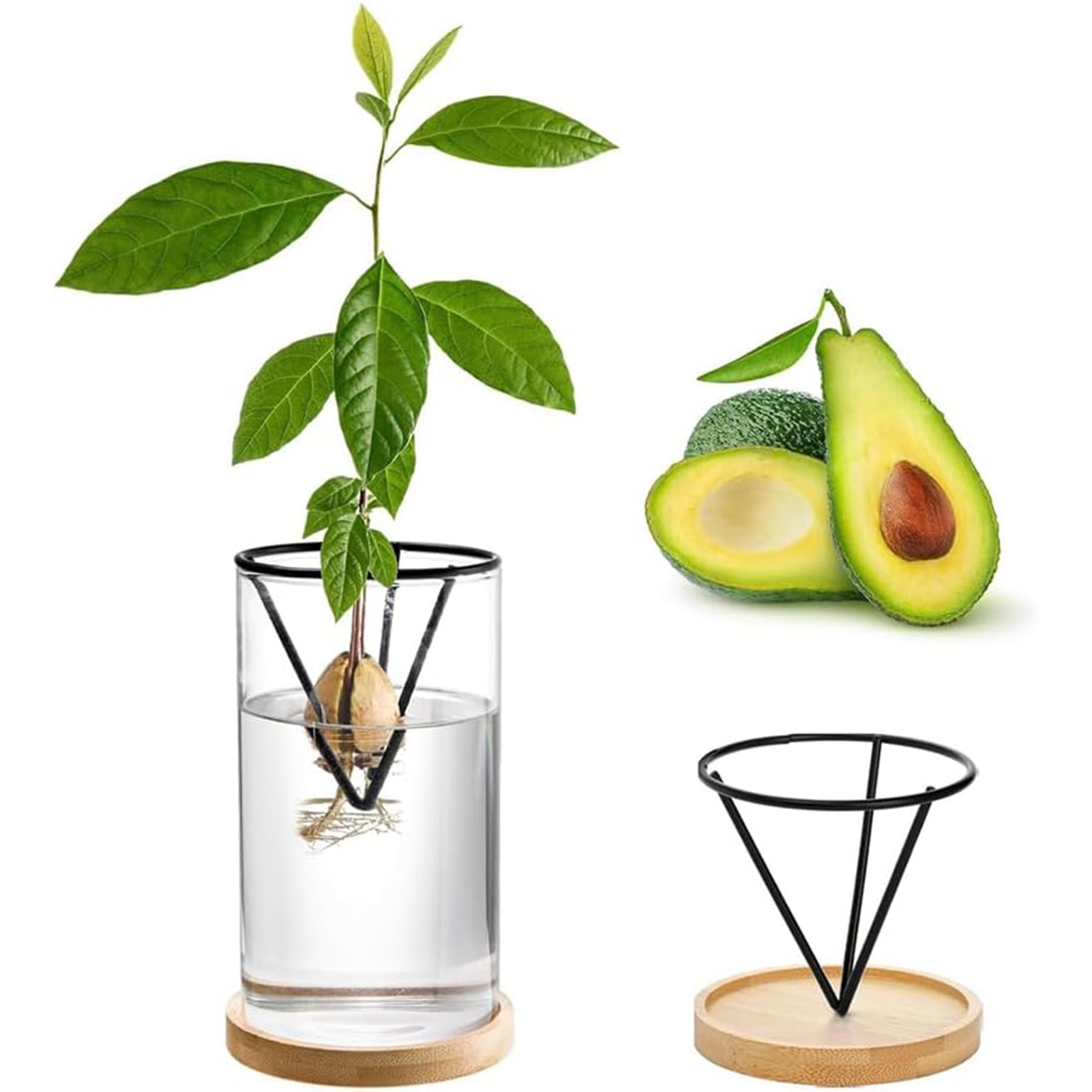 1Set Kit penumbuh pohon alpuka - Crystal Growing Kit ulasan dan harga